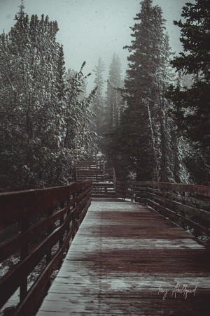 Snow on Sulfur Path Hi Res   A3